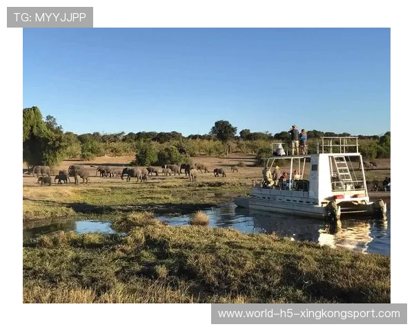 纳米比亚高原骑马比赛吸引众多骑手,纳米比亚自驾游 纳米比亚高原骑马比赛吸引众多骑手,纳米比亚自驾游