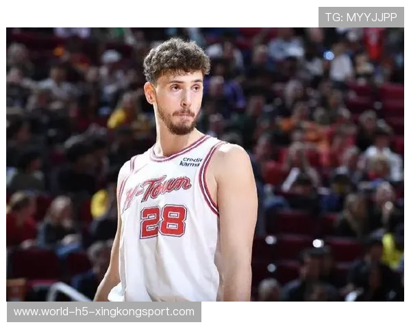 欧洲杯最强半决赛？字母哥VS申京谁能笑到最后！，字母哥世界杯表现